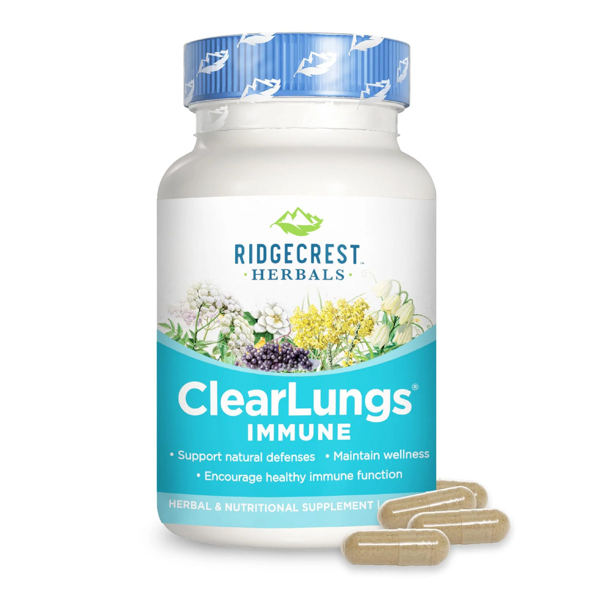 Lung Support Supplement with Elderberry Zinc Vitamin C 60 Vegan Caps P680906