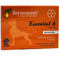 Fish Oil Nutritional Supplements for Small Dogs up to 22 lb W39659