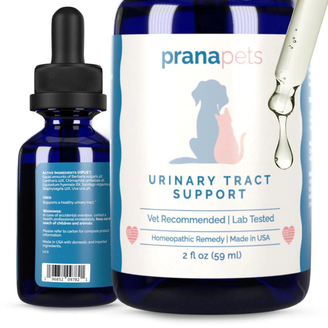 Urinary Tract Support Liquid Supplement for Pets D167